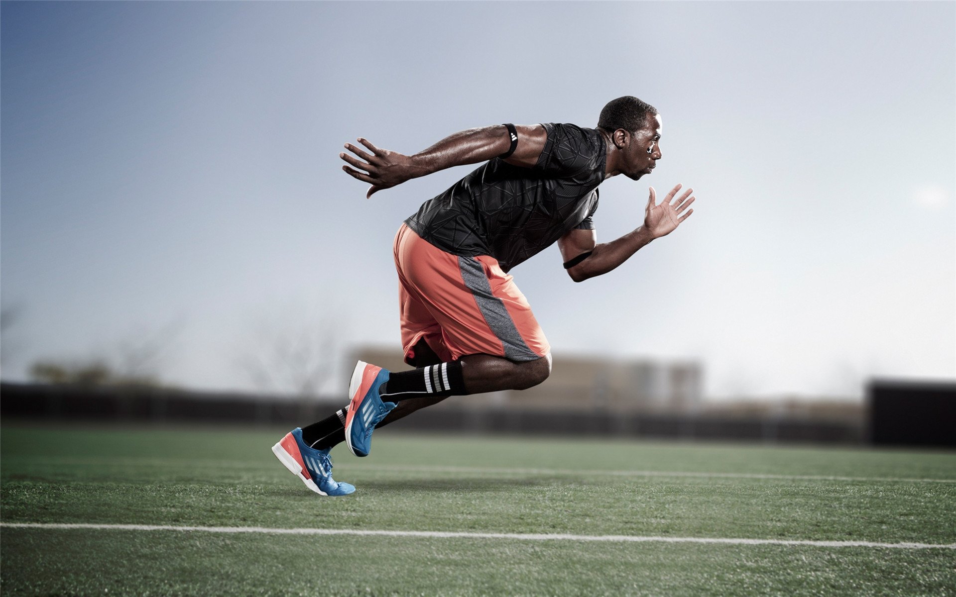 球迷投票：你最支持的球队会夺冠吗？，支持球队的话